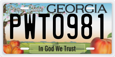 GA license plate PWT0981