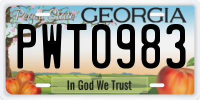 GA license plate PWT0983