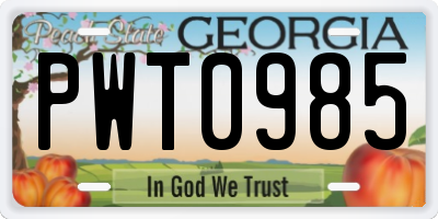 GA license plate PWT0985