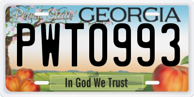 GA license plate PWT0993