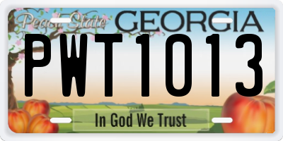 GA license plate PWT1013