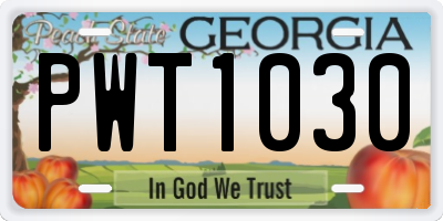 GA license plate PWT1030