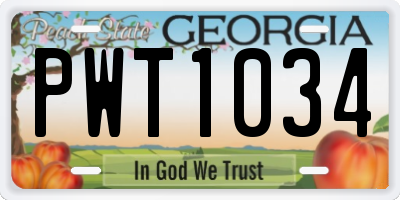 GA license plate PWT1034