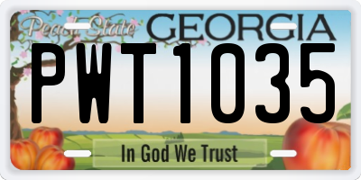 GA license plate PWT1035