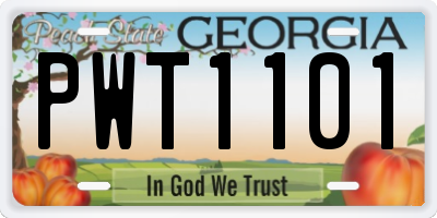 GA license plate PWT1101