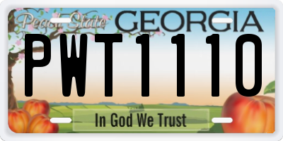 GA license plate PWT1110