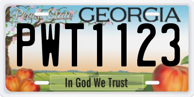 GA license plate PWT1123