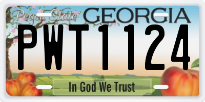 GA license plate PWT1124