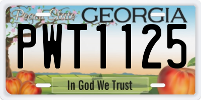 GA license plate PWT1125