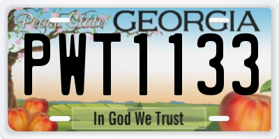 GA license plate PWT1133