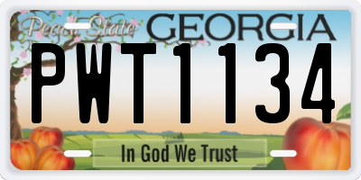 GA license plate PWT1134