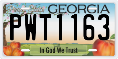 GA license plate PWT1163