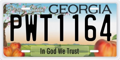 GA license plate PWT1164