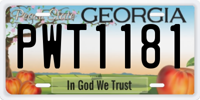 GA license plate PWT1181