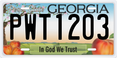 GA license plate PWT1203
