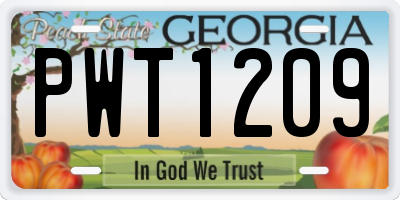 GA license plate PWT1209