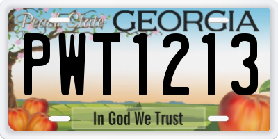 GA license plate PWT1213