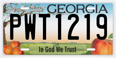 GA license plate PWT1219
