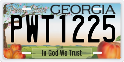 GA license plate PWT1225