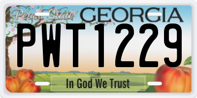 GA license plate PWT1229