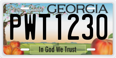 GA license plate PWT1230