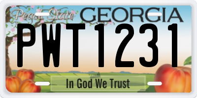 GA license plate PWT1231