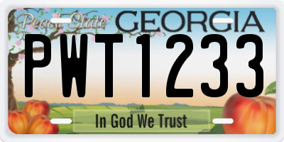 GA license plate PWT1233