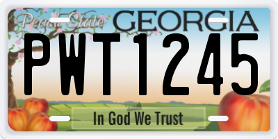 GA license plate PWT1245