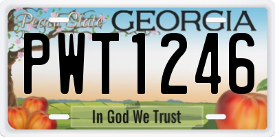 GA license plate PWT1246