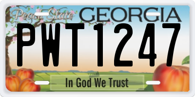 GA license plate PWT1247