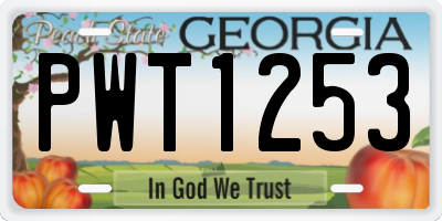 GA license plate PWT1253