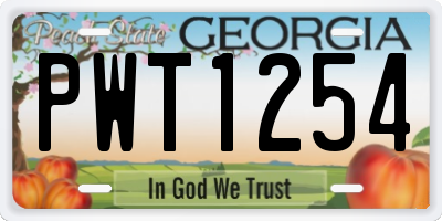 GA license plate PWT1254