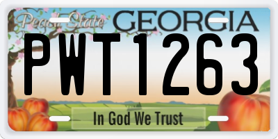 GA license plate PWT1263