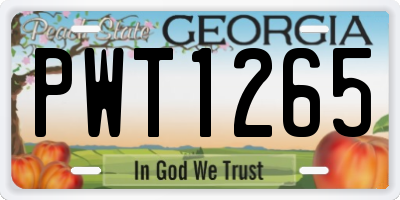 GA license plate PWT1265