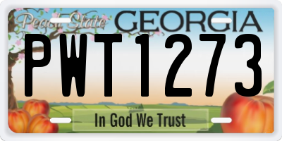 GA license plate PWT1273