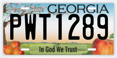 GA license plate PWT1289
