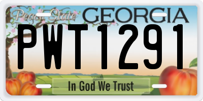 GA license plate PWT1291