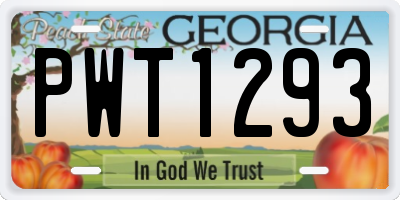 GA license plate PWT1293