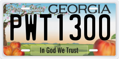 GA license plate PWT1300