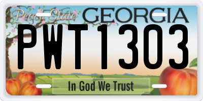 GA license plate PWT1303