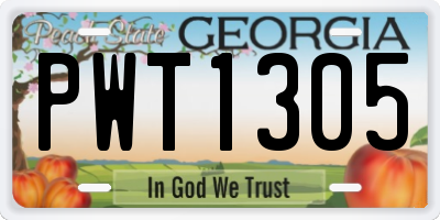 GA license plate PWT1305