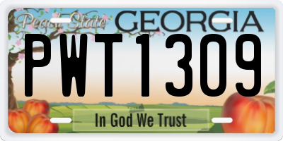 GA license plate PWT1309