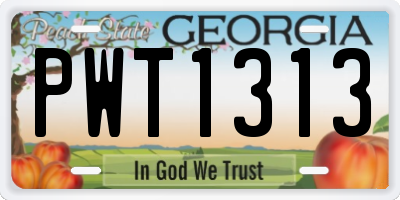 GA license plate PWT1313