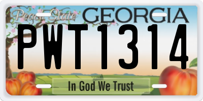 GA license plate PWT1314