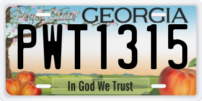 GA license plate PWT1315