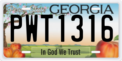 GA license plate PWT1316