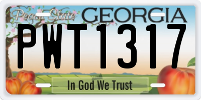 GA license plate PWT1317
