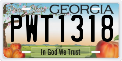 GA license plate PWT1318