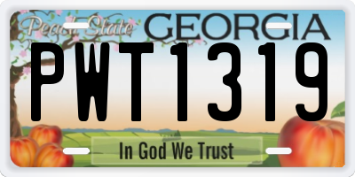 GA license plate PWT1319