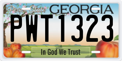 GA license plate PWT1323